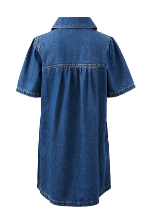 SIENNA DENIM DRESS