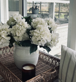 WHITE HYDRANGEA STEM