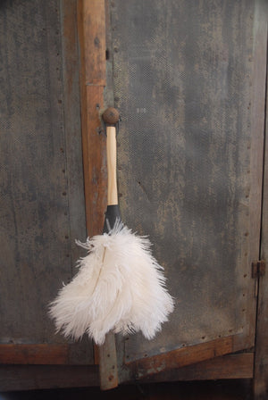 FEATHER DUSTER