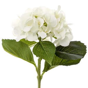 WHITE HYDRANGEA STEM