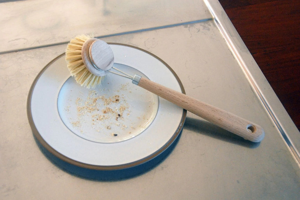 DISH BRUSH