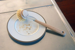 DISH BRUSH
