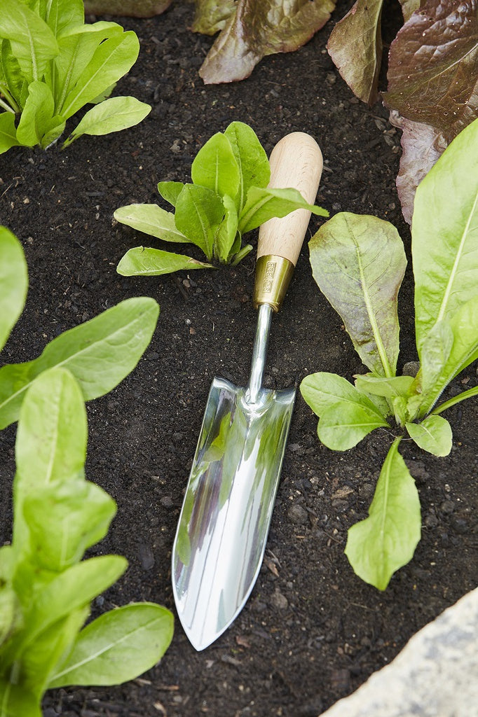 SOPHIE CONRAN- LONG THIN TROWEL