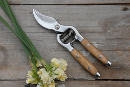 SECATEURS